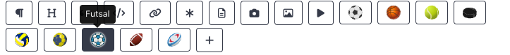 The icon row revealed by hovering a block, with the Futsal icon highlighted among the other sports available on this project.